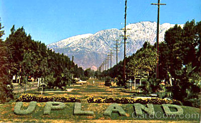 Hynosis in Upland